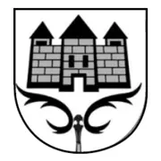 Logo für den Job Verkehrsüberwachungskraft (m/w/d)